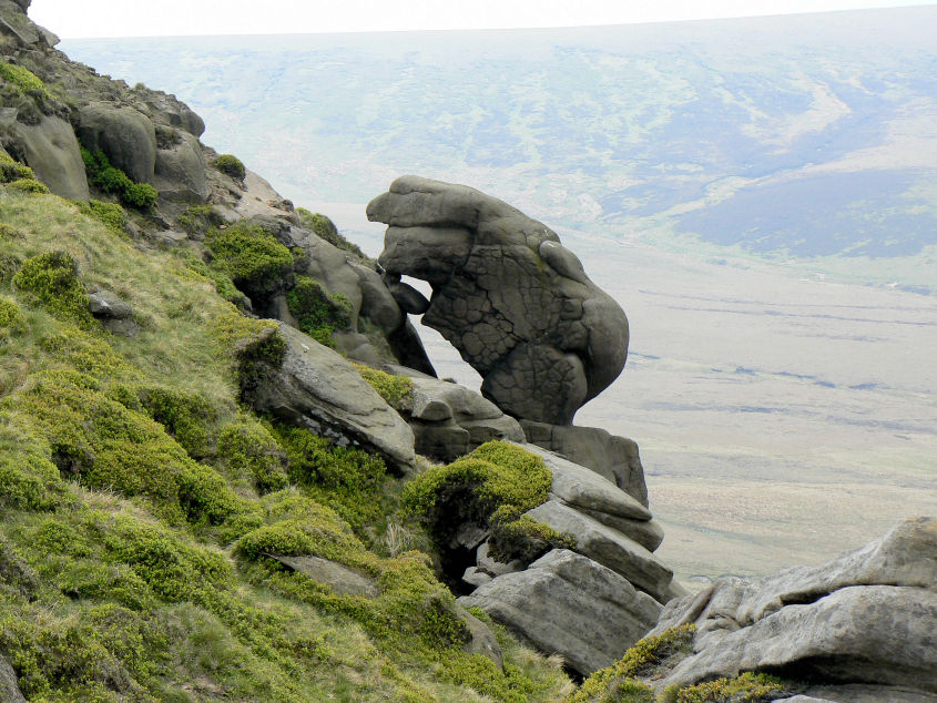 The Ewe The Ewe